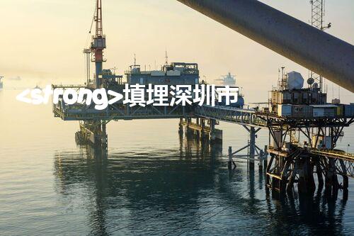 <strong>填埋深圳市危險(xiǎn)廢物處理站有限公司化工設(shè)施安全解體：如何高效處理復(fù)雜工業(yè)遺留問(wèn)題？</strong>